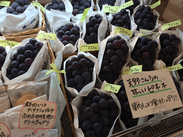 山の幸と果物が充実！富士の国やまなし館。