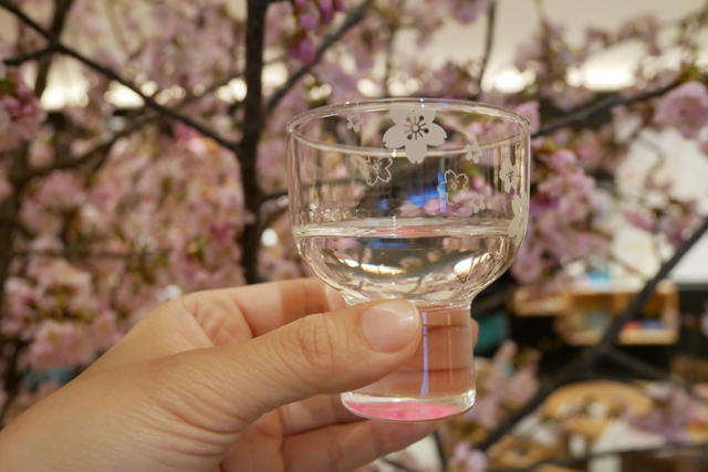 【日本の酒情報館】で楽しむインドア花見！お酒はなんと１杯￥100〜！